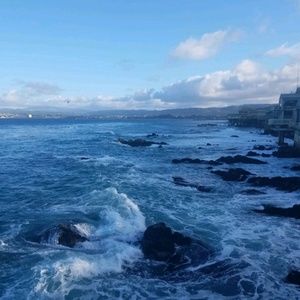 Meet your Posher, Tom